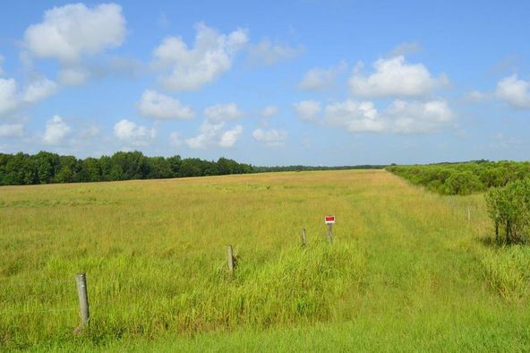 Saddle Creek Commons: 2300 US Highway 17 N, Bartow, FL 33830